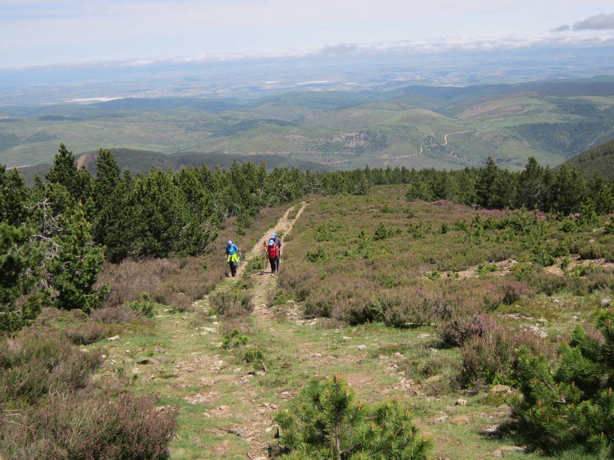 Unas 1.300 personas participaron en la suma de las dos marchas senderistas que recorrieron los montes de la Demanda. La 'Valle de Ezcaray. Memorial Javi Valgañón y Travesía infantil en una actividad organizada por los 'Amigos de Ezcaray'