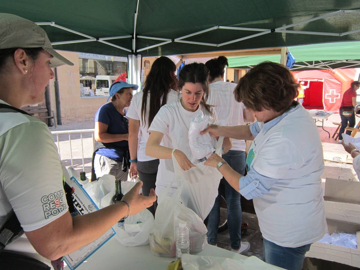 Unas 1.300 personas participaron en la suma de las dos marchas senderistas que recorrieron los montes de la Demanda. La 'Valle de Ezcaray. Memorial Javi Valgañón y Travesía infantil en una actividad organizada por los 'Amigos de Ezcaray'