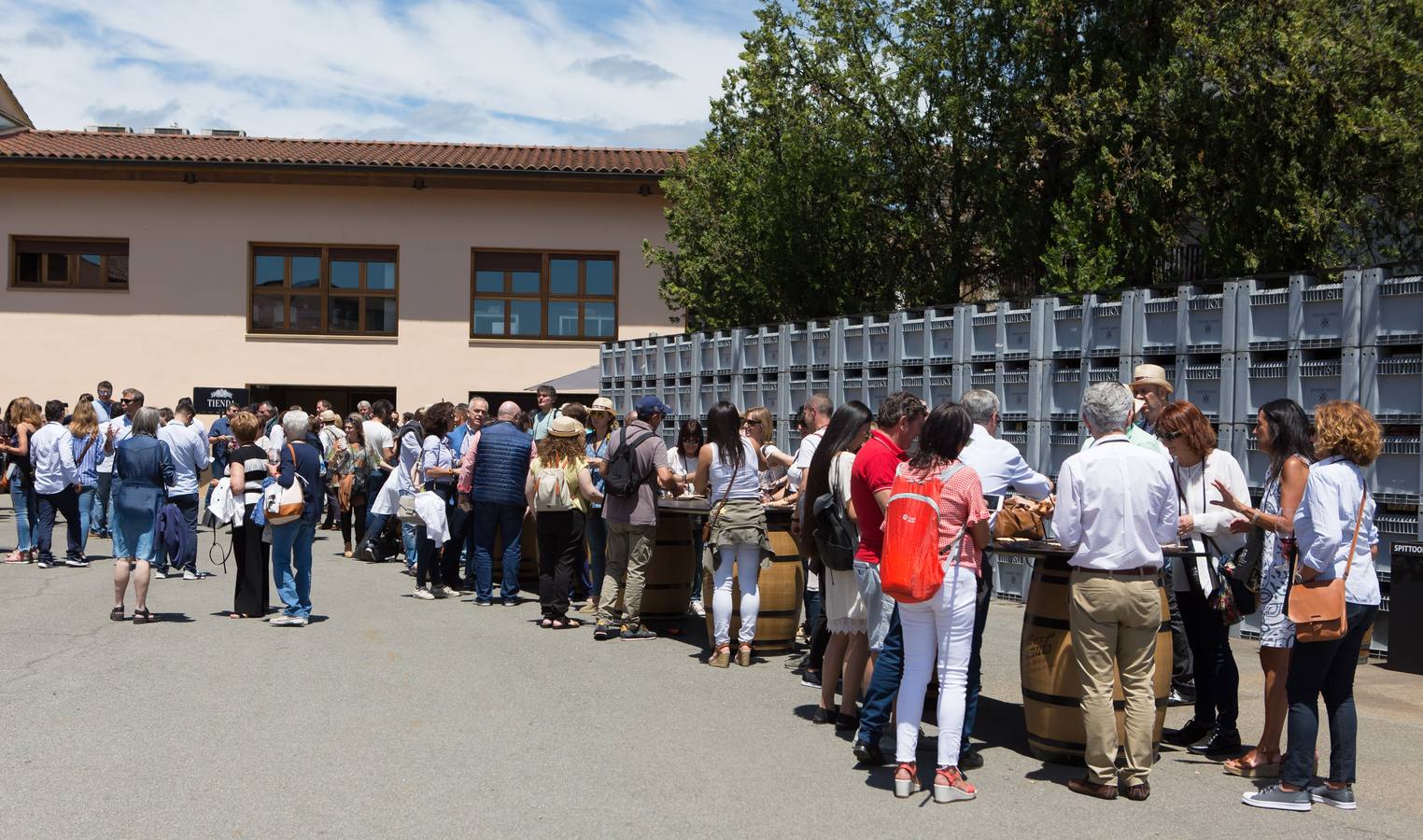 Fotos: Cata de la Estación de Haro (II)