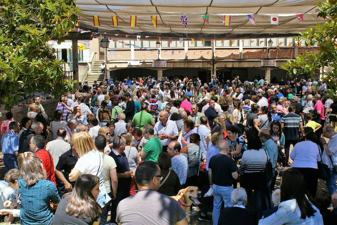 Éxito y consolidación del festival de la trucha de Bobadilla, una localidad volcada con la riqueza piscícola del Najerilla. 