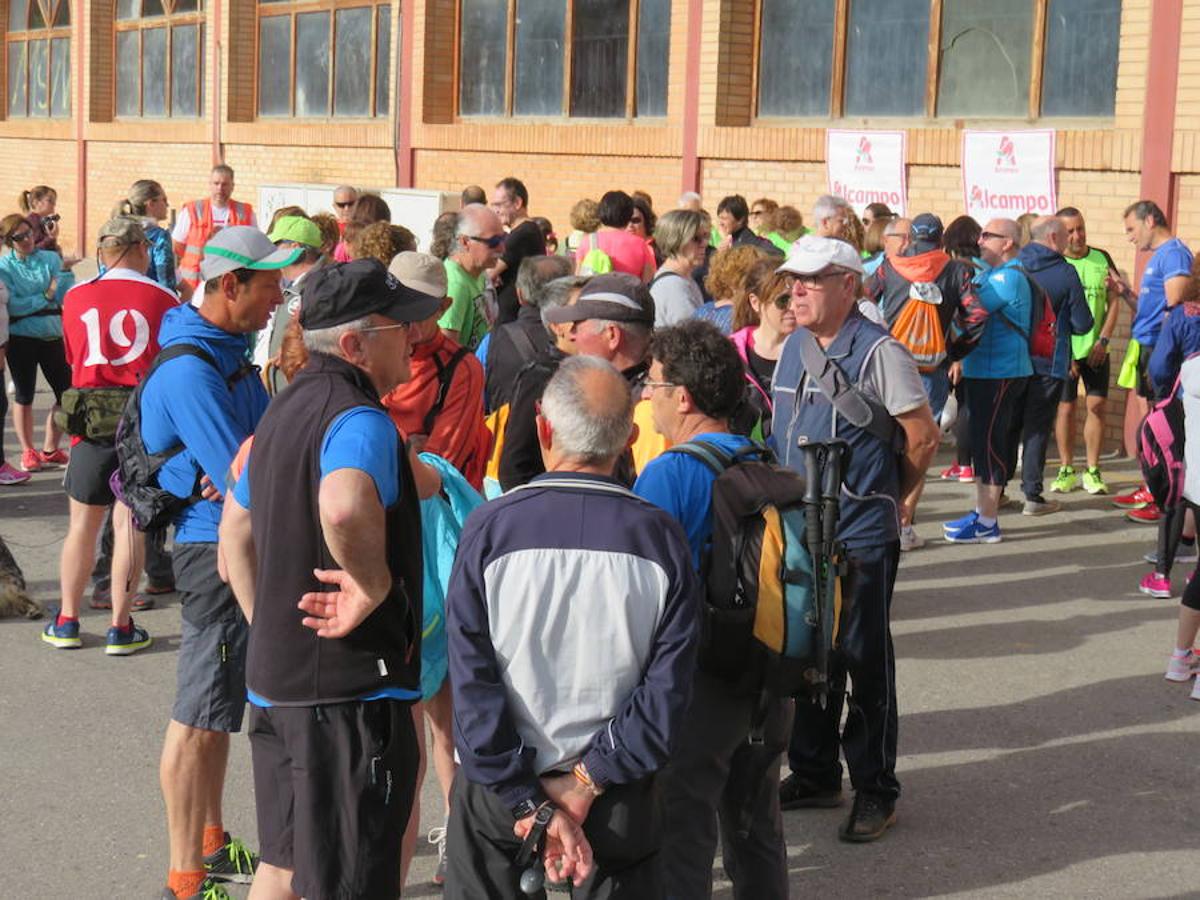 XIII Marcha Solidaria entre las localidades de Arnedo y Arnedillo a beneficio de la Asociación Española Contra el Cáncer.