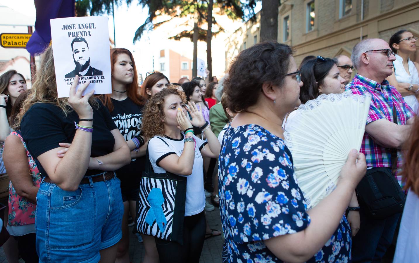 Fotos: Logroño se manifiesta contra la libertad de La Manada