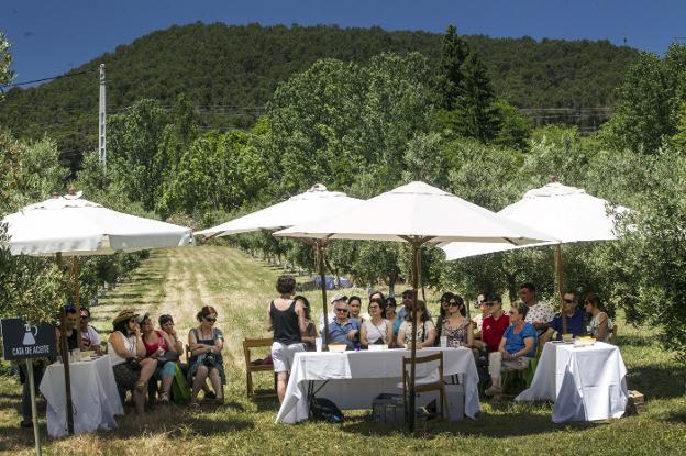 Cata de aceite con denominación entre los olivos de la finca. :: justo rodríguez
