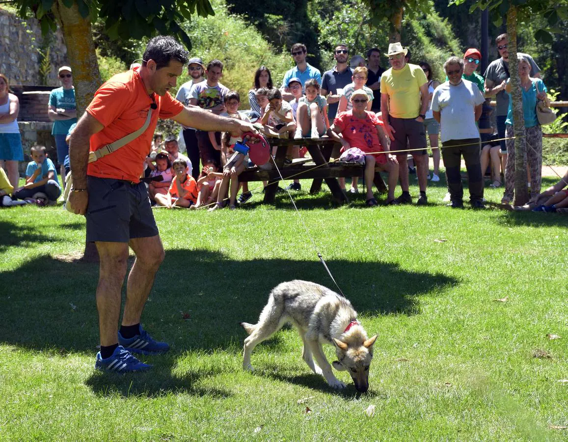 La localidad celebra la tradicional jornada, con actividades y degustaciones