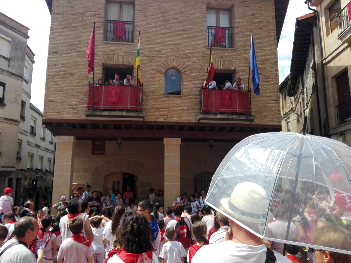 Fotos: La versión infantil de la batalla del vino en Haro