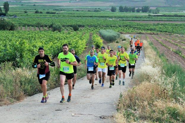 Un grupo de corredores en el Fuchutrail del año pasado a punto de iniciar la cuesta de Villarrubia en Fuenmayor. :: D.M.A.
