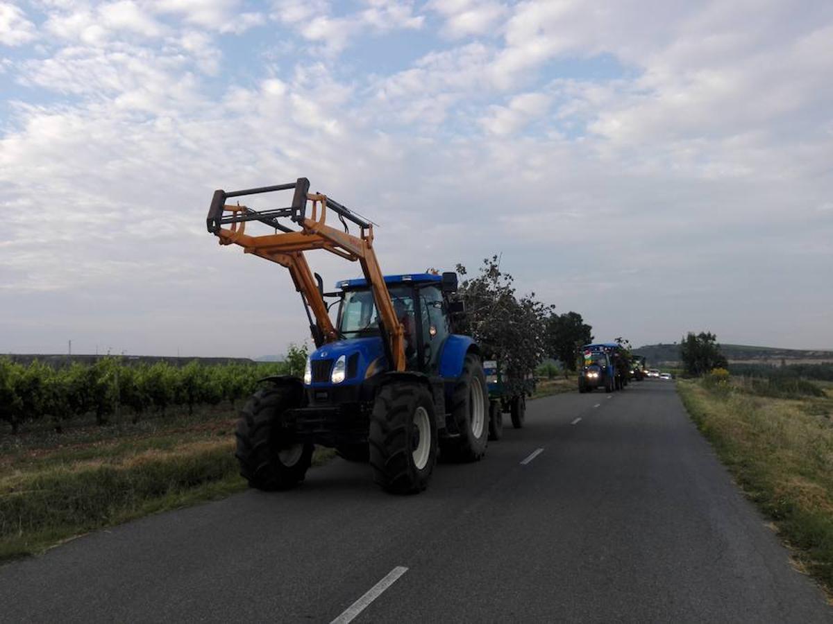 Unas 12.000 personas, siempre con datos de la Policía Local, toman los Riscos de Bilibio para participar en la Batalla del Vino del Haro