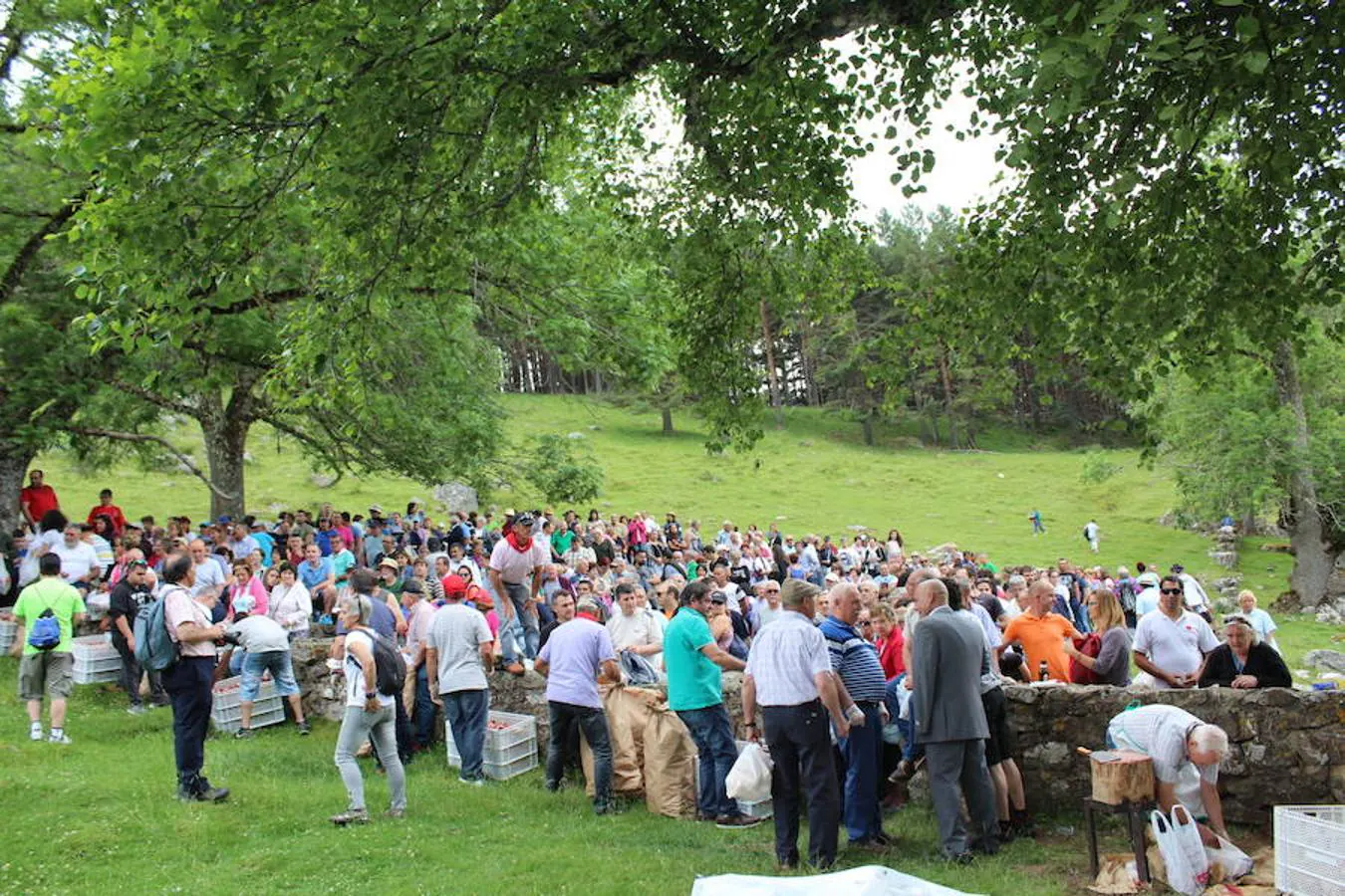 Más de dos mil personas han asistido hoy al reparto de la «Caridad grande» en la ermita de la Virgen de Lomos de Orio, en Villoslada de Cameros.