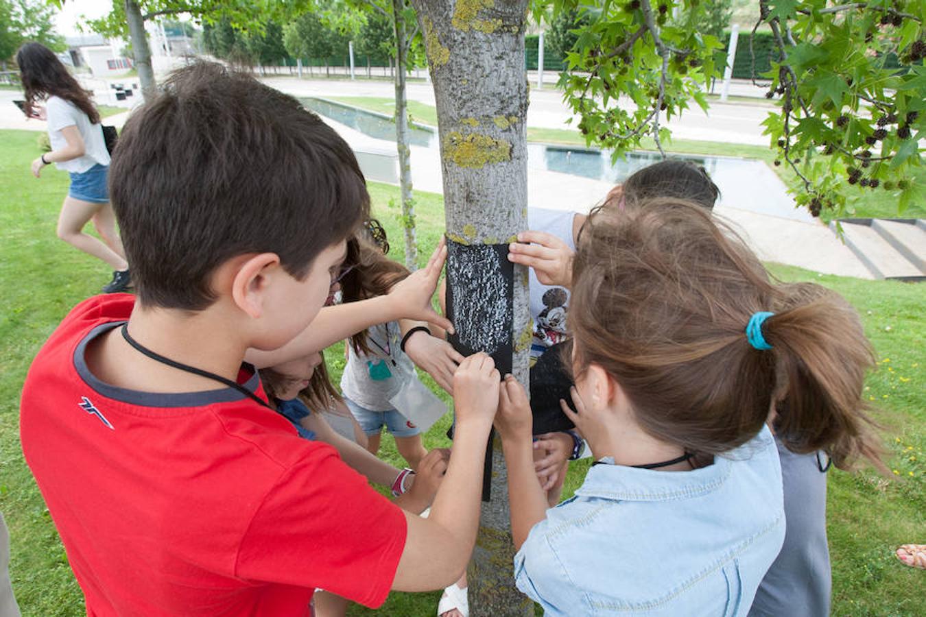 El Museo Würth aprovecha las vaciones de verano para ofertar cursos didácticos y gratuitos para los niños de Infantil, Primaria, Secundaria y Bachillerato. 