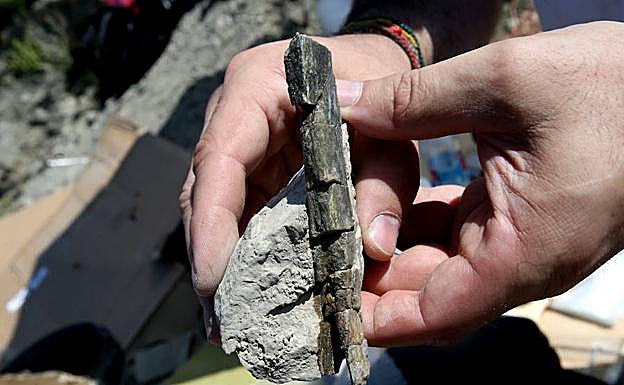 Detalle de uno de los huesos hallados. 