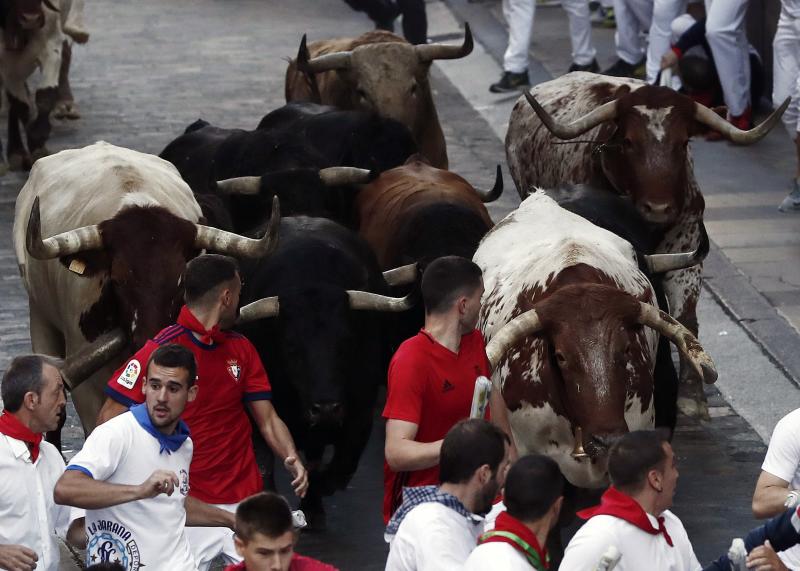 Los astados de la ganadería gaditana protagonizan un encierro veloz y limpio