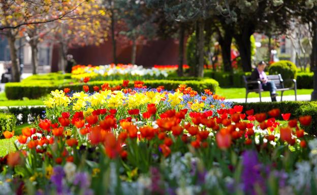 Espolón logroñés repleto de flores.