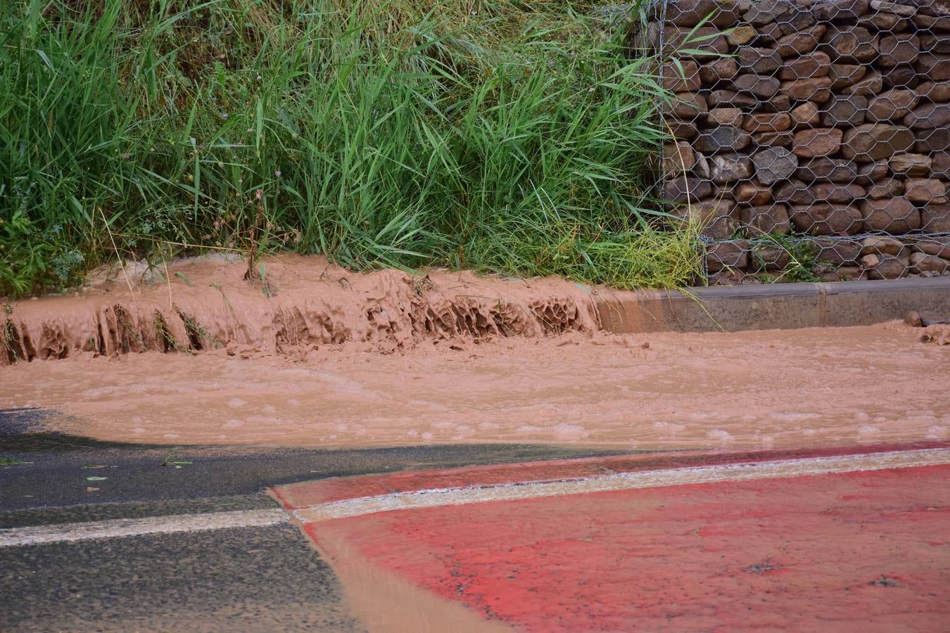 La tormenta de granizo de Murillo causó graves daños.