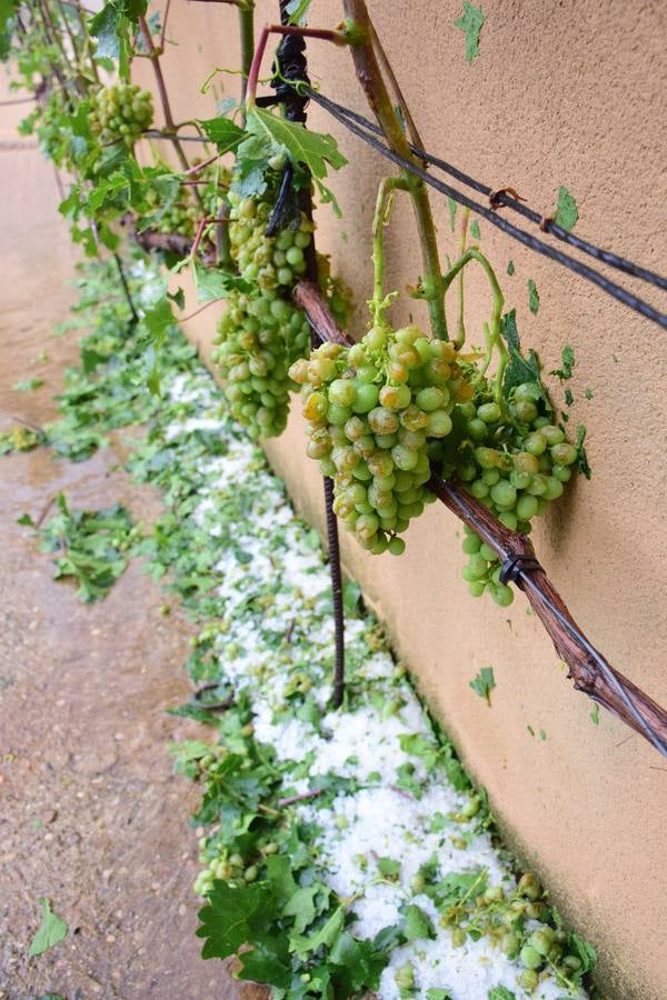 La tormenta de granizo de Murillo causó graves daños.