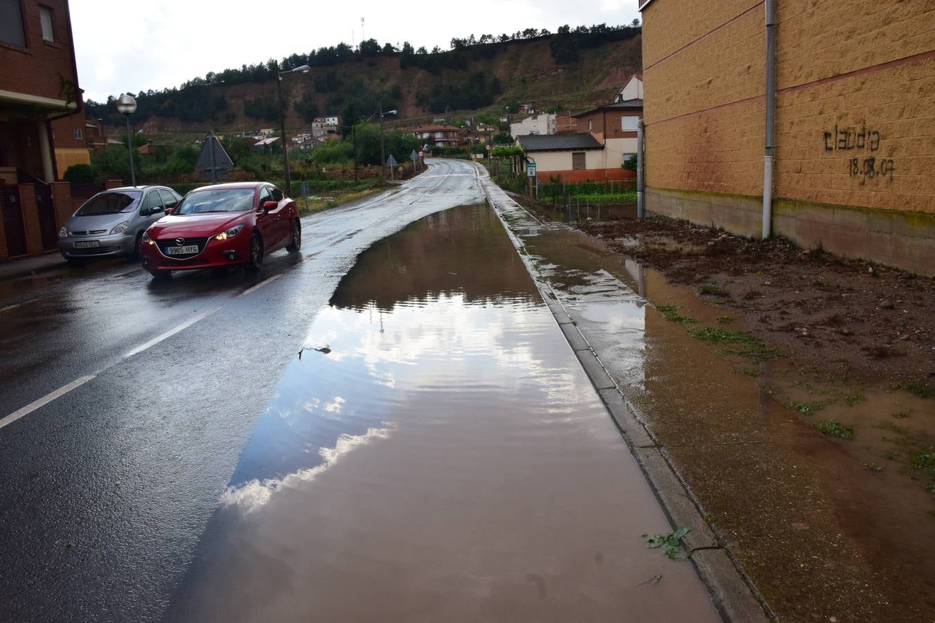 La tormenta de granizo de Murillo causó graves daños.