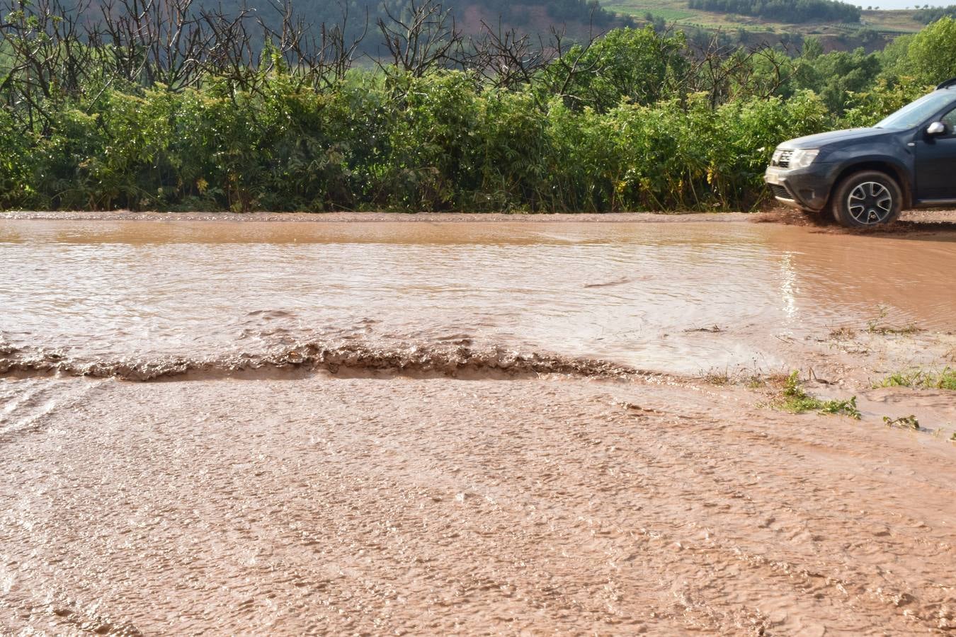 La tormenta de granizo de Murillo causó graves daños.