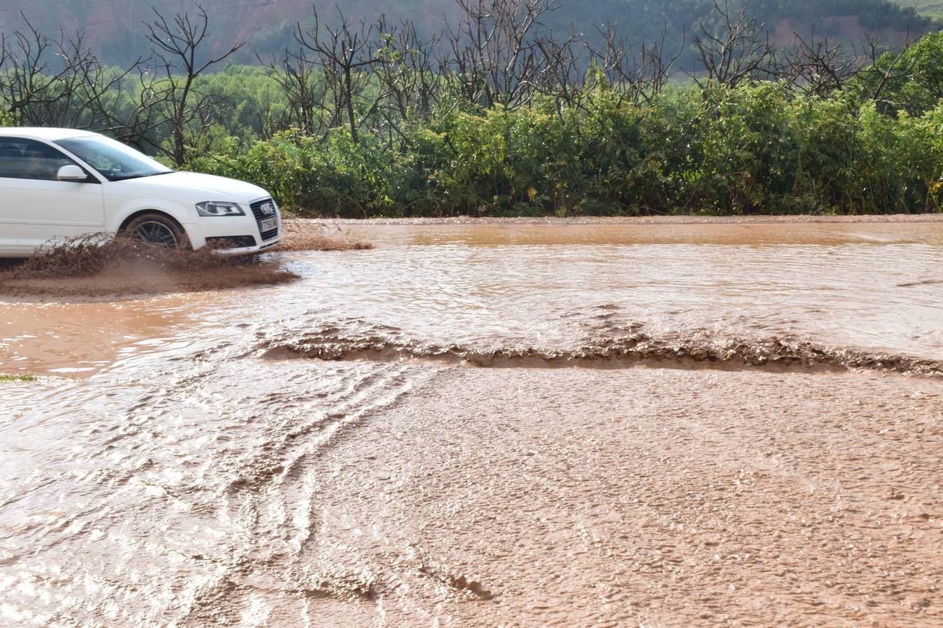 La tormenta de granizo de Murillo causó graves daños.