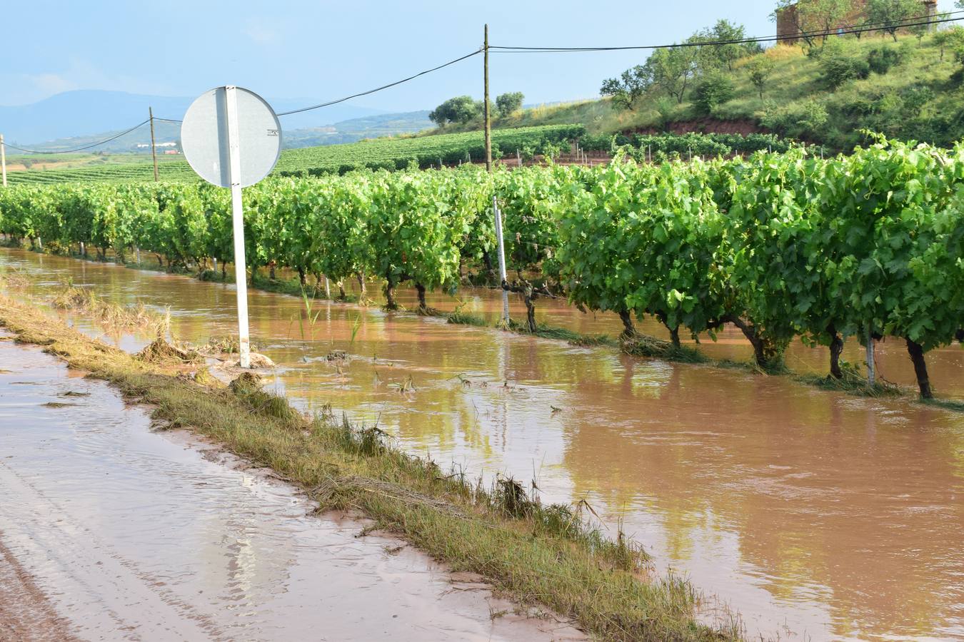 La tormenta anegó campos y calles en Navarrete.