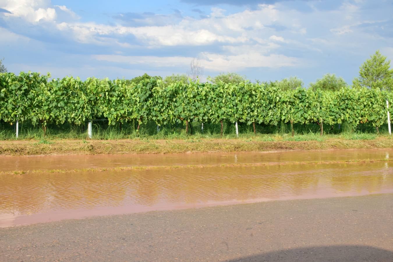 La tormenta anegó campos y calles en Navarrete.