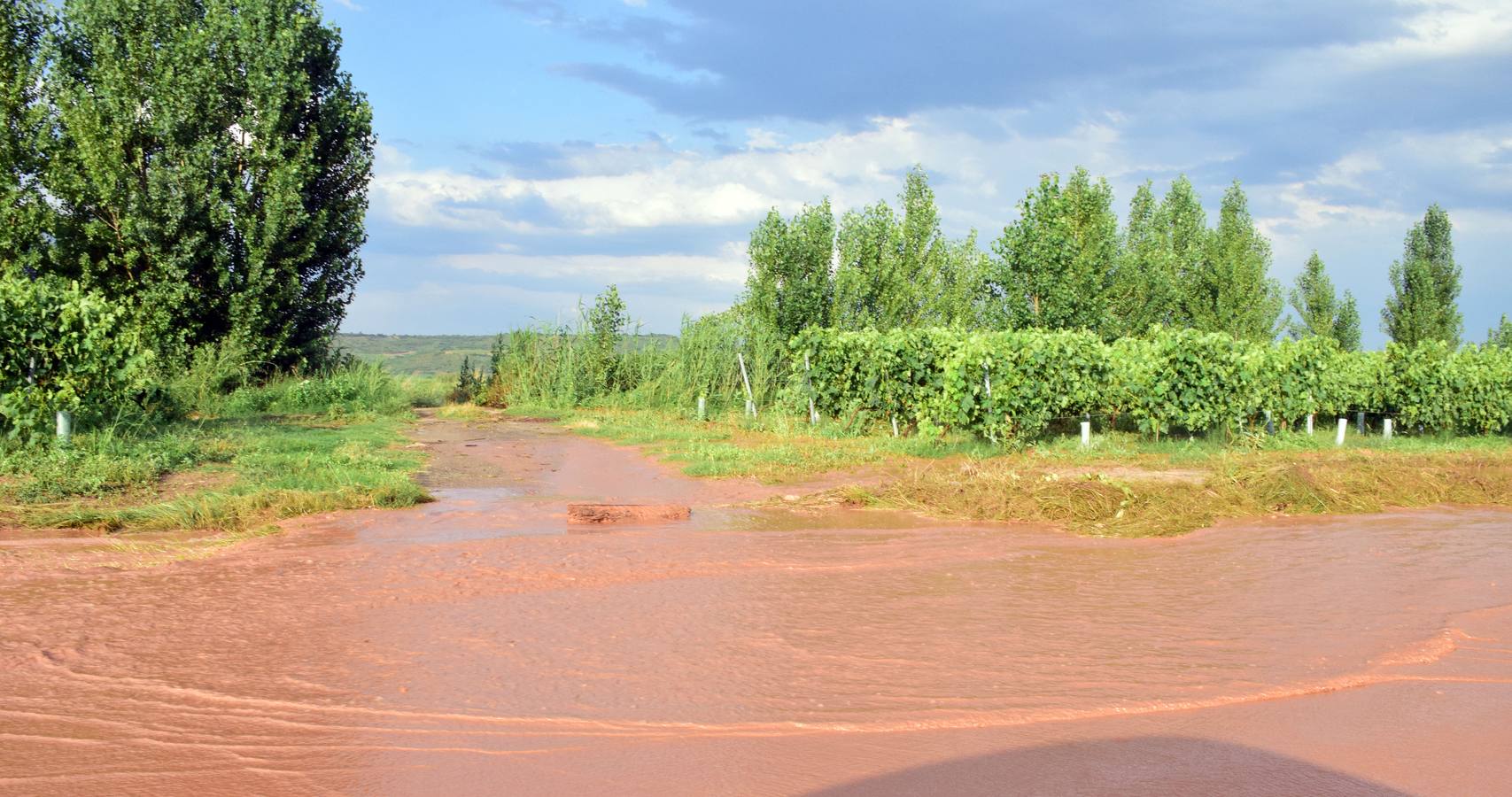 La tormenta anegó campos y calles en Navarrete.