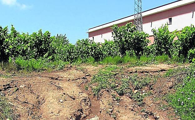 Lenguas de tierra que bajaban desde las fincas por los caminos de acceso en Entrena. 