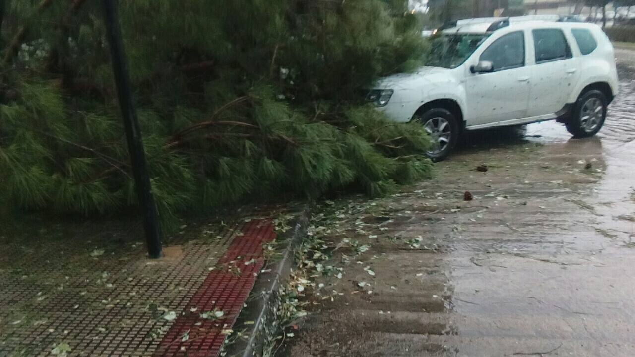 Nuestros lectores nos han enviado decenas de imágenes de los destrozos de la tormenta del domingo en Logroño.