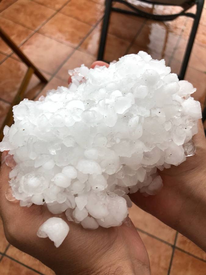 Nuestros lectores nos han enviado decenas de imágenes de los destrozos de la tormenta del domingo en Logroño.