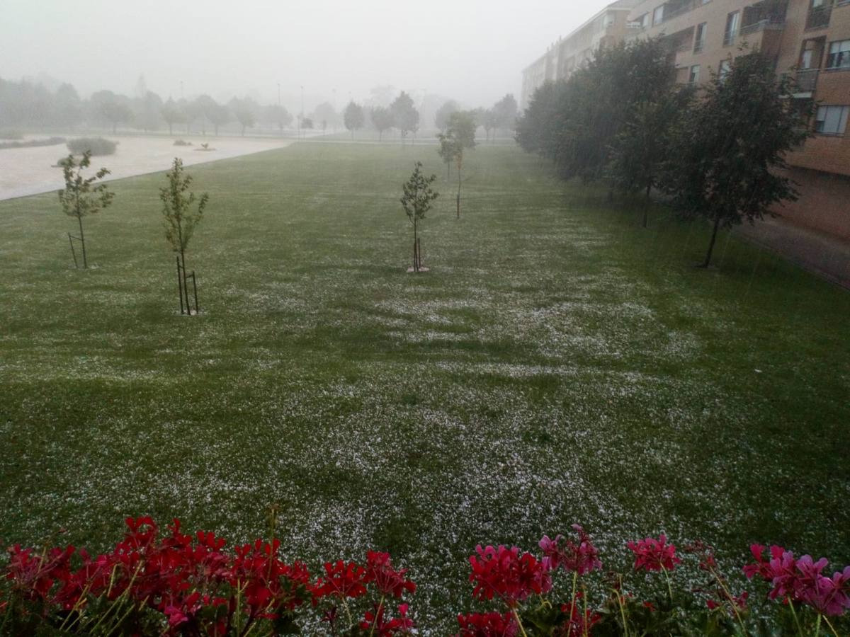 Nuestros lectores nos han enviado decenas de imágenes de los destrozos de la tormenta del domingo en Logroño.