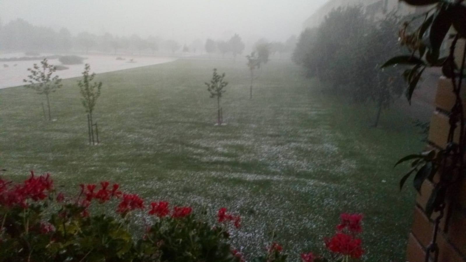 Nuestros lectores nos han enviado decenas de imágenes de los destrozos de la tormenta del domingo en Logroño.