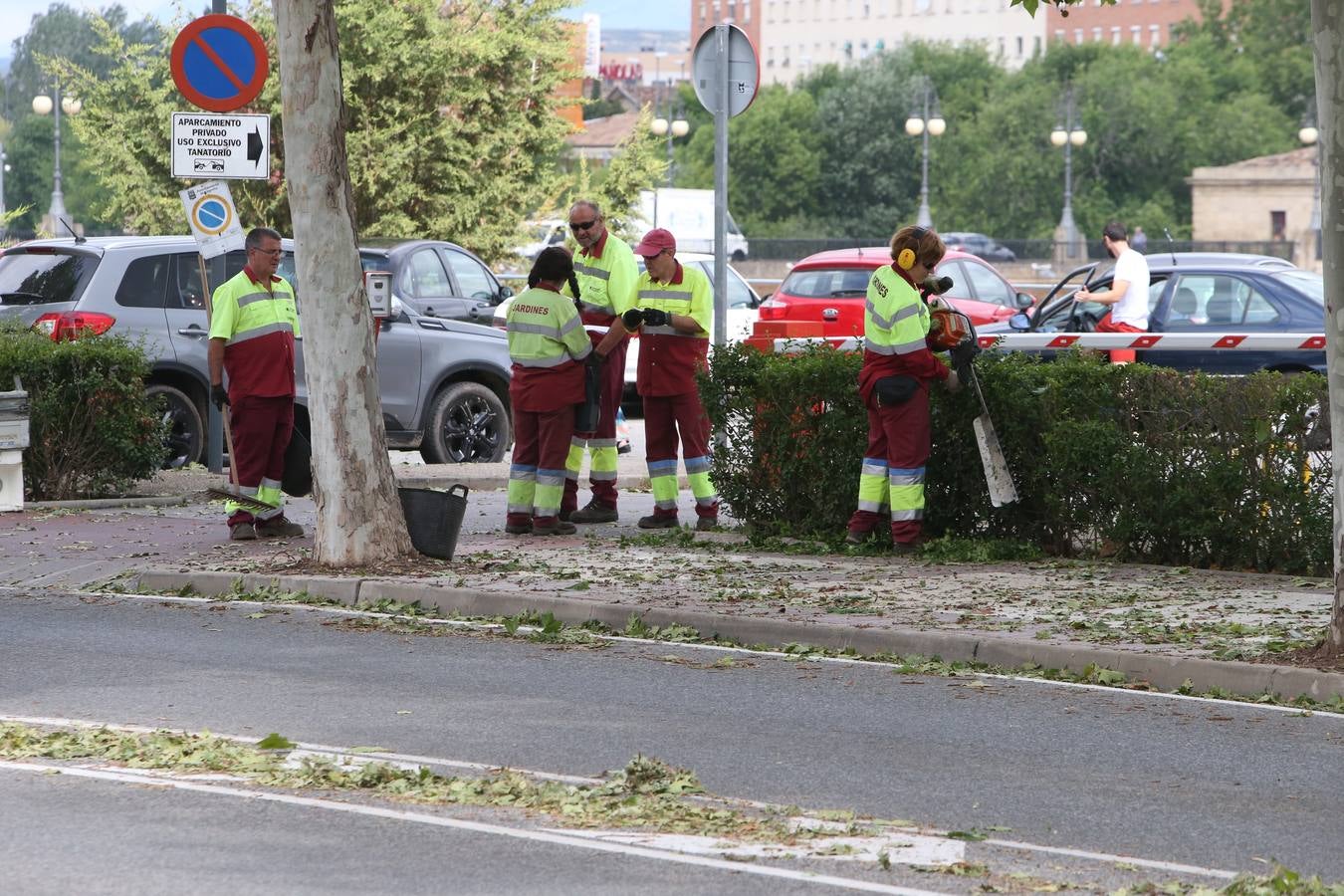 Árboles derrumbados y las calles llenas de maleza