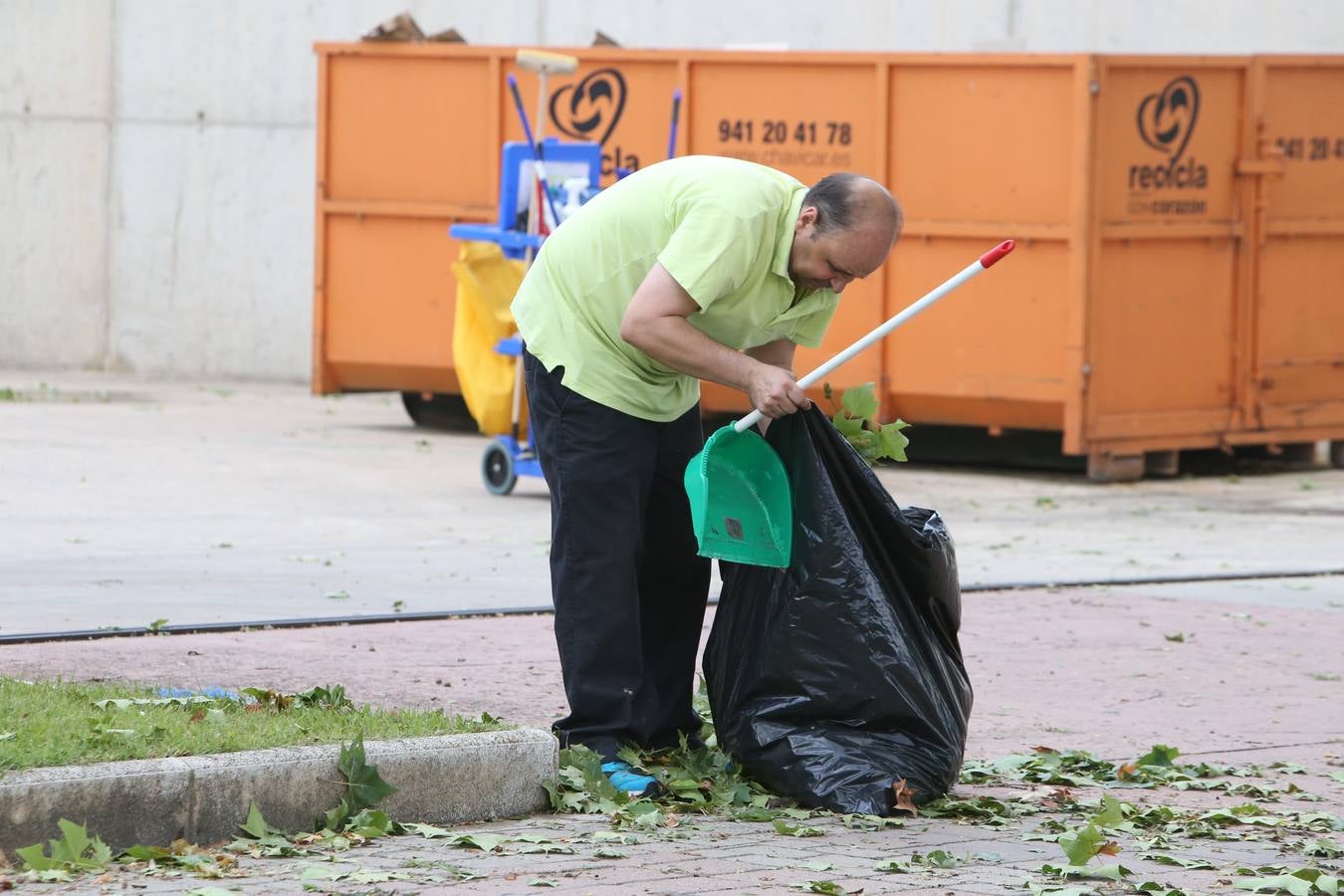 Árboles derrumbados y las calles llenas de maleza