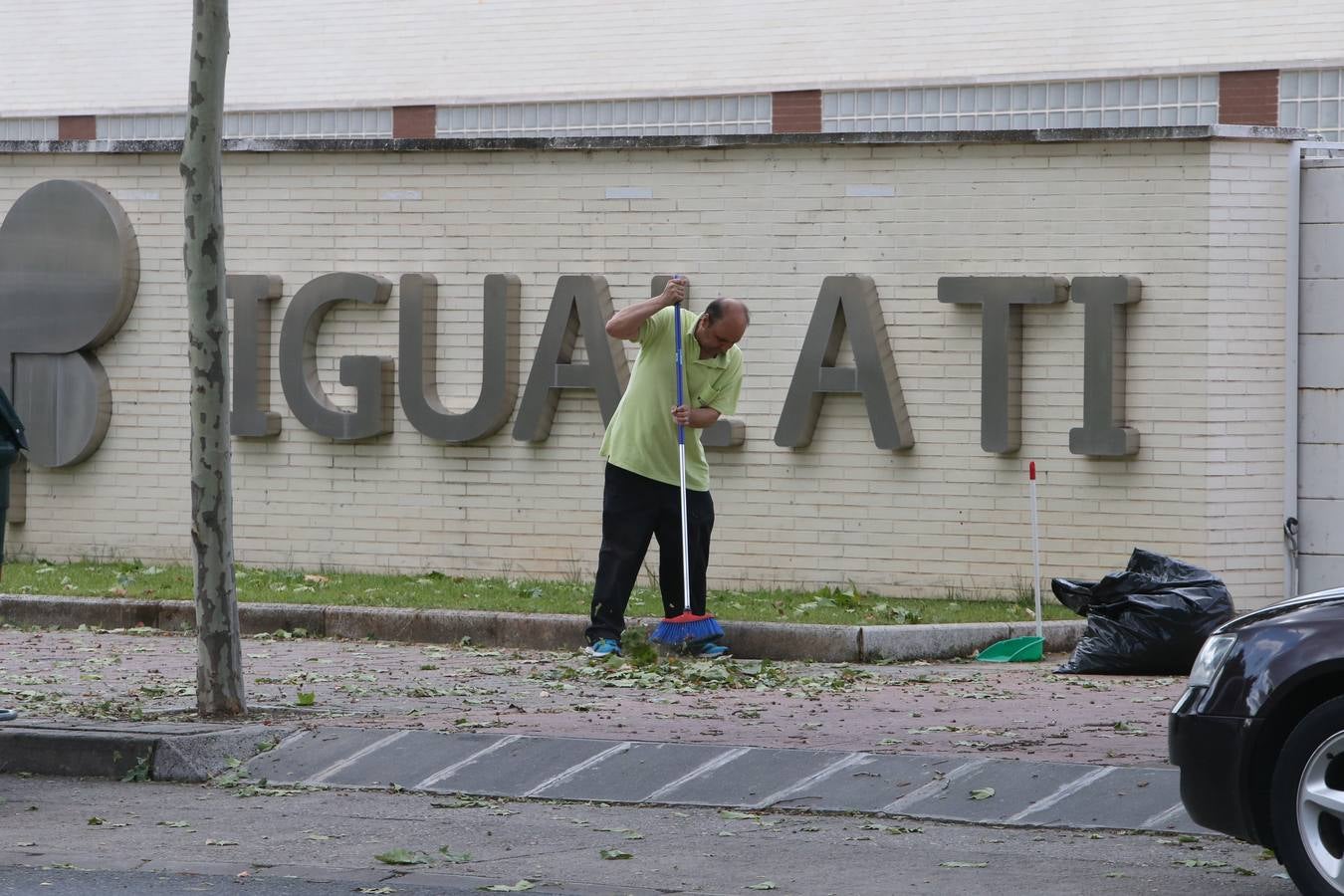 Árboles derrumbados y las calles llenas de maleza