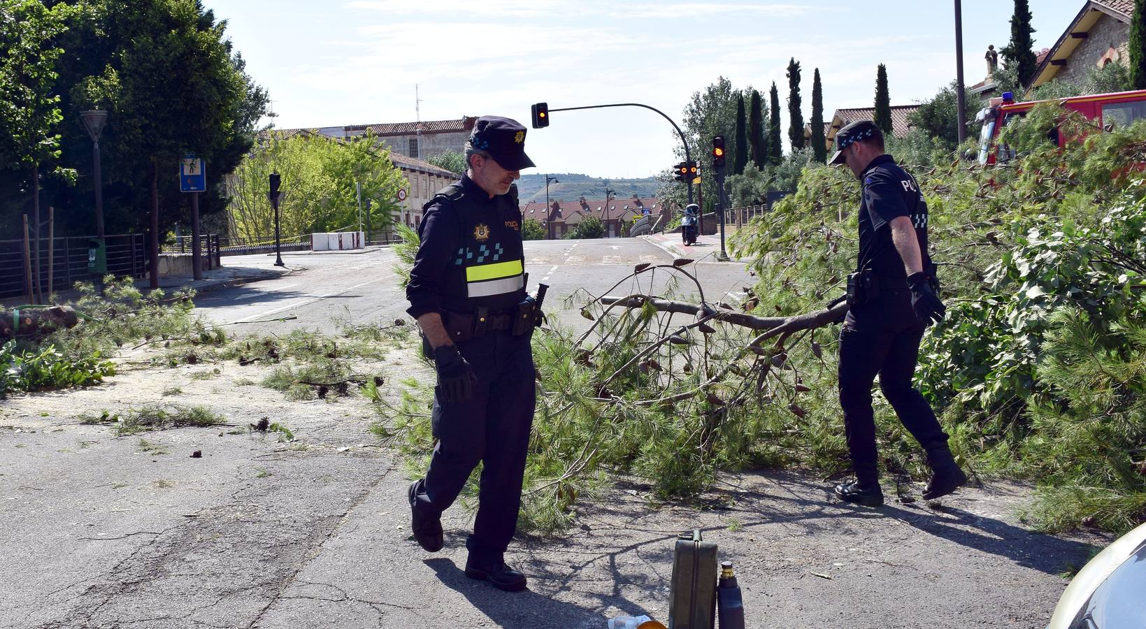 Un árbol de grandes dimensiones se ha venido abajo junto al Puente de Hierro y la Casa de las Ciencias, inutilizando carretera en la calle del Ebro