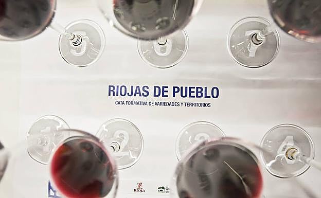 Bodegas Familiares de Rioja pide amparo político al Ministerio de Agricultura
