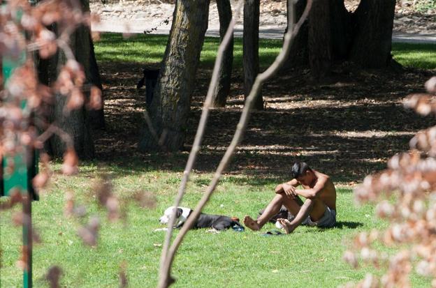 Un ciudadano se toma un respiro con su mascota en un parque de Logroño.