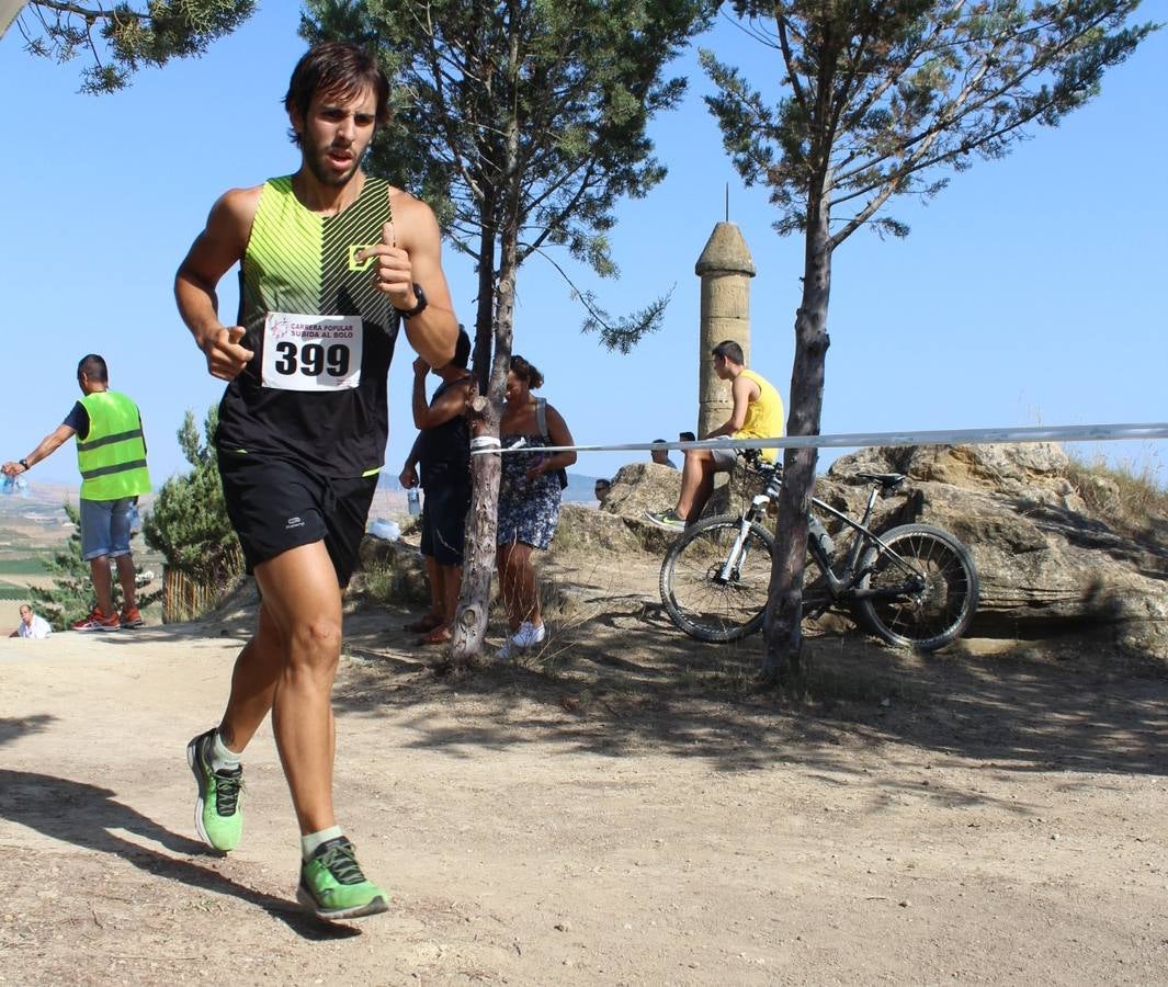 380 corredores han participado hoy en esta carrera celebrada Cuzcurrita del Río Tirón.