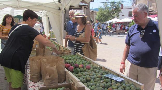 Puesto de venta de ciruelas en la Fiesta de la Ciruela Reina Claudia celebrada ayer en Nalda. :: 