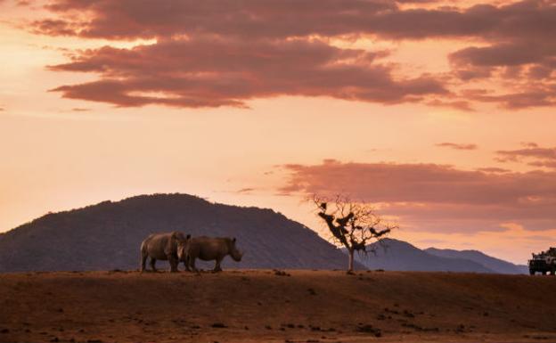 Sudáfrica, motivos de sobra para conocer un destino salvaje y cautivador