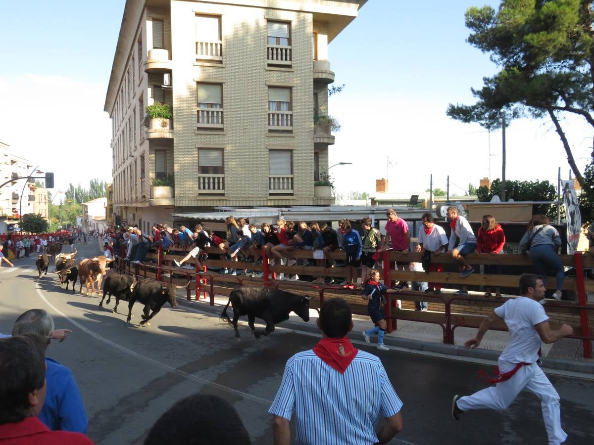 Este viernes ha sido el día dedicados a los mayores en las fiestas patronales de Alfaro