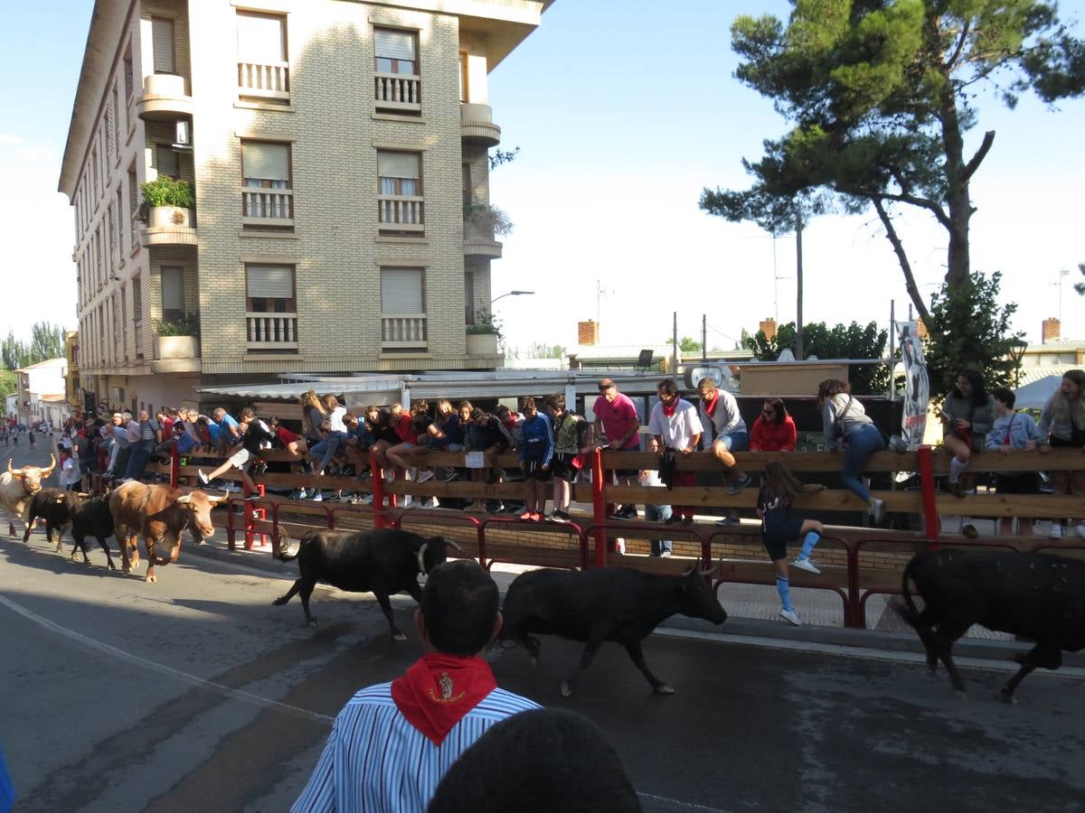 Este viernes ha sido el día dedicados a los mayores en las fiestas patronales de Alfaro