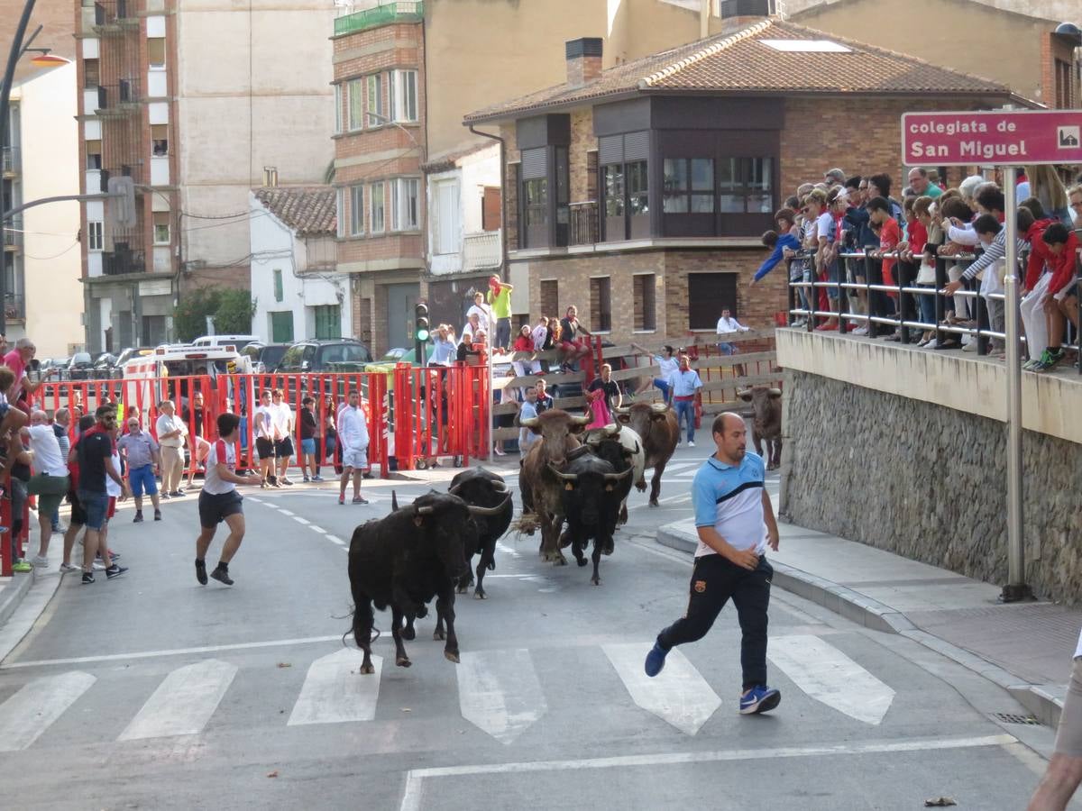 Este viernes ha sido el día dedicados a los mayores en las fiestas patronales de Alfaro