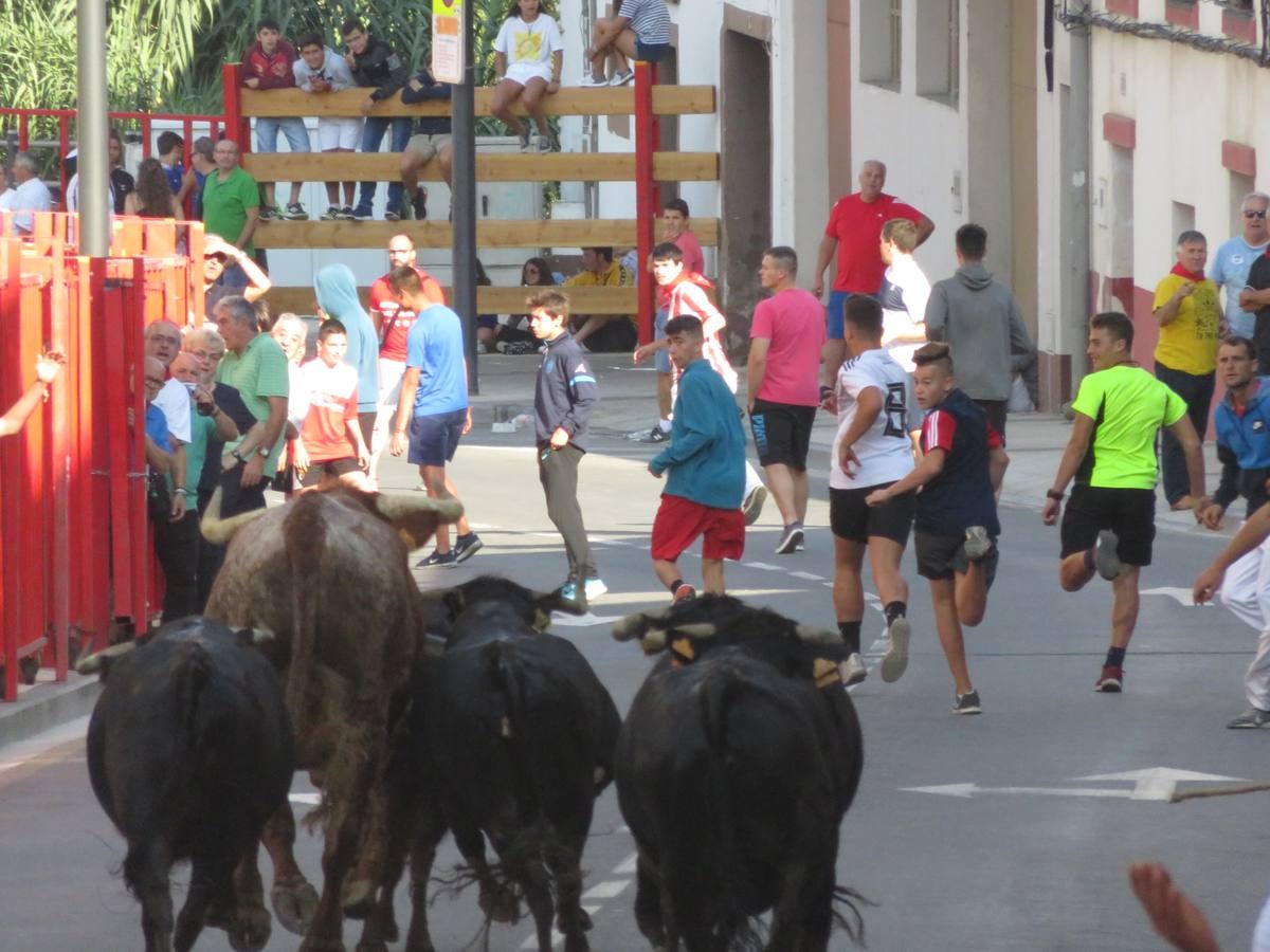 Este viernes ha sido el día dedicados a los mayores en las fiestas patronales de Alfaro