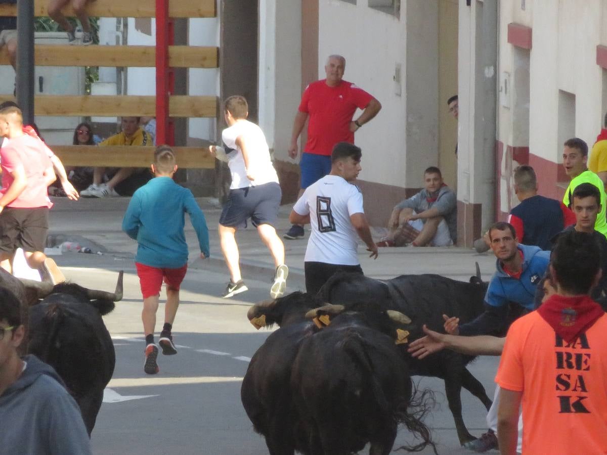 Este viernes ha sido el día dedicados a los mayores en las fiestas patronales de Alfaro