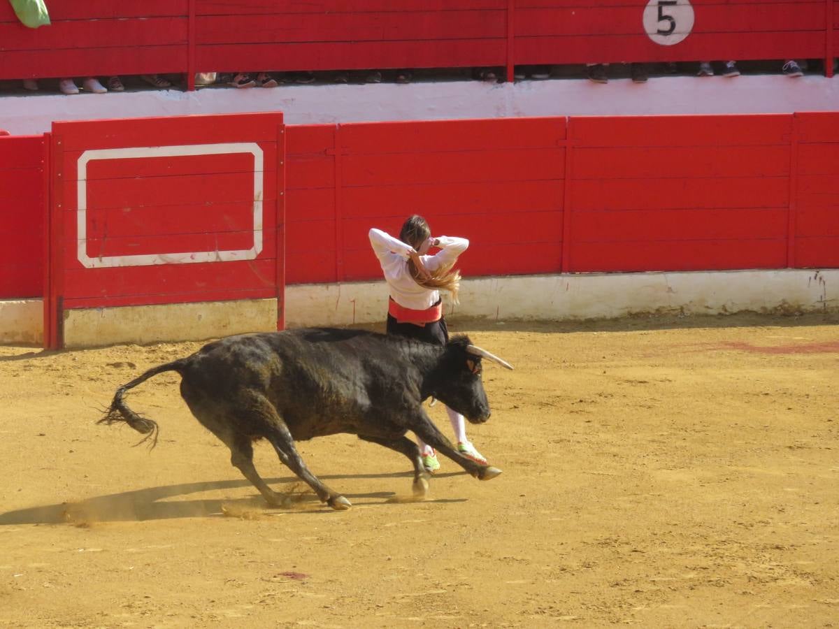 Este viernes ha sido el día dedicados a los mayores en las fiestas patronales de Alfaro