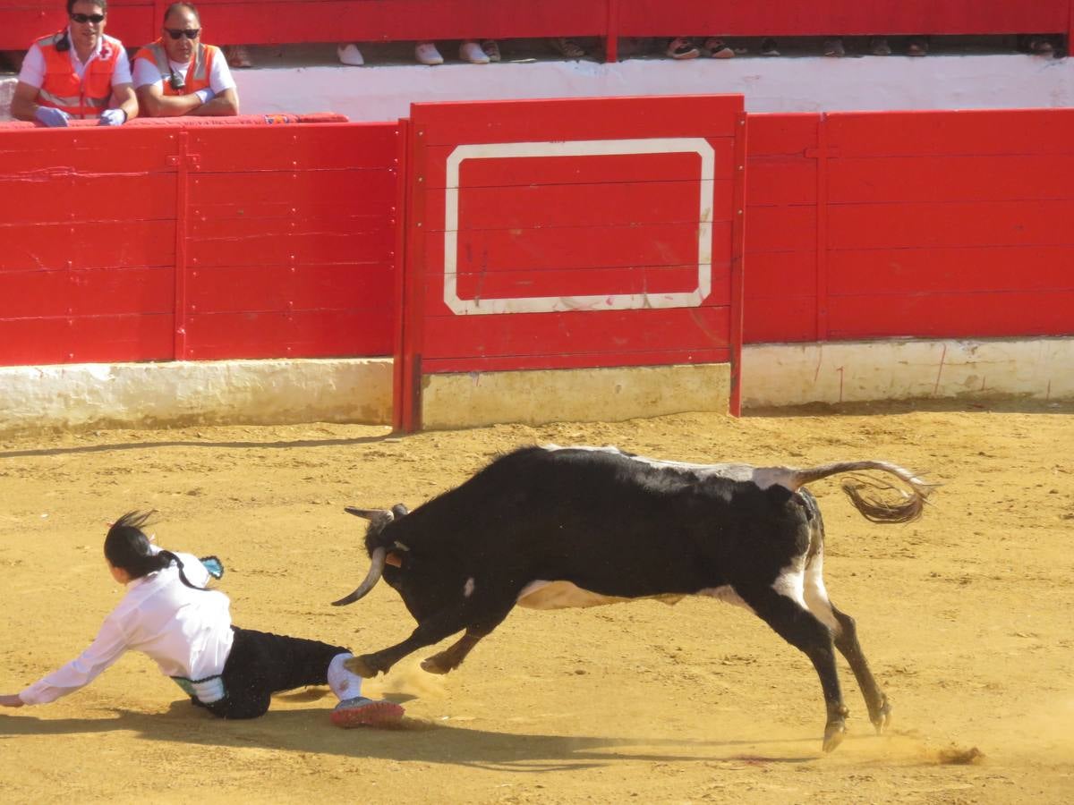 Este viernes ha sido el día dedicados a los mayores en las fiestas patronales de Alfaro