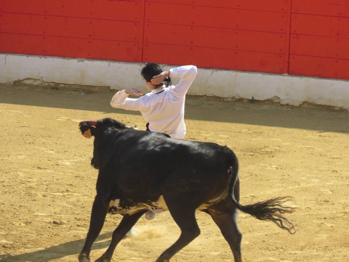 Este viernes ha sido el día dedicados a los mayores en las fiestas patronales de Alfaro