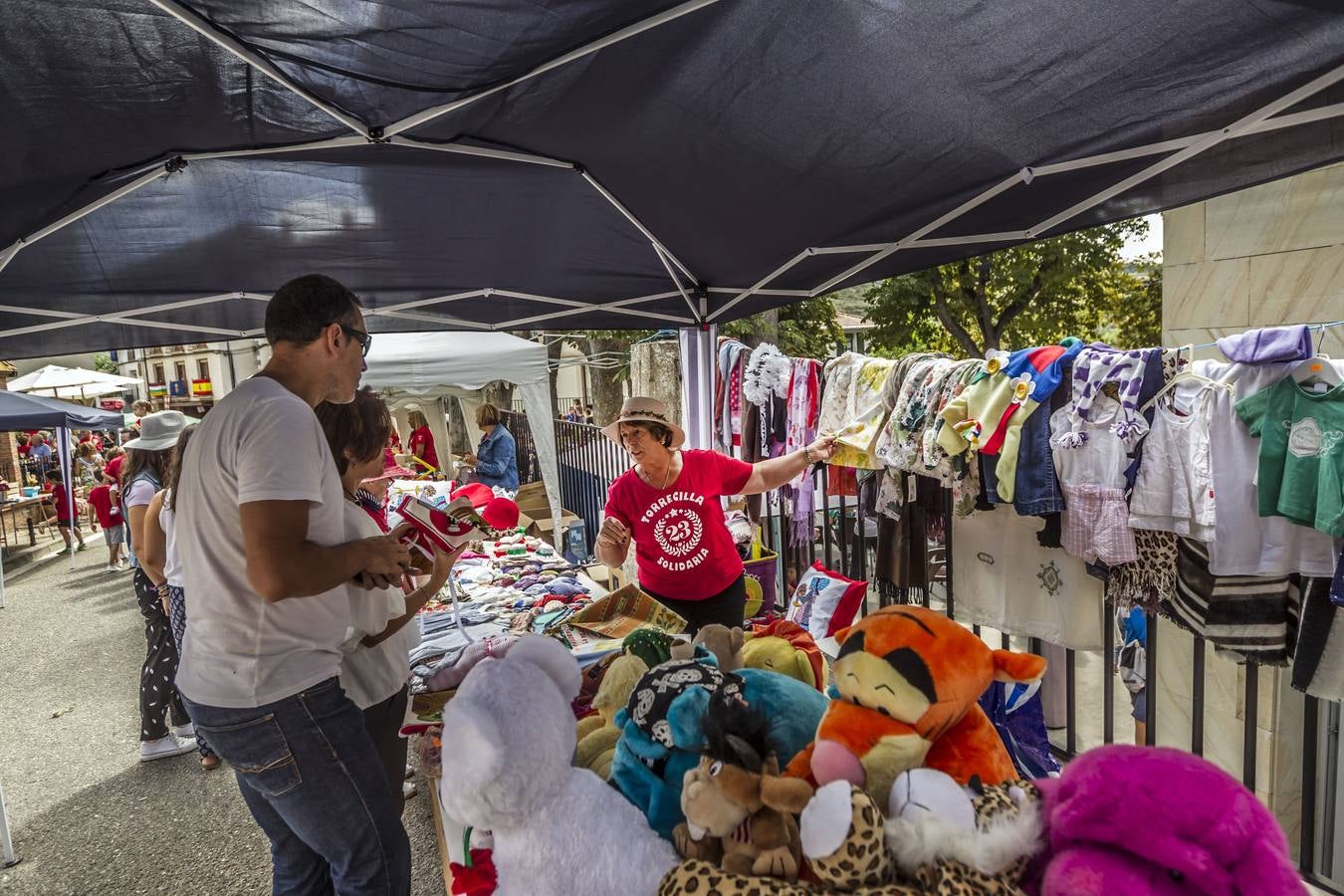 Las imágenes de la jornada solidaria en Torrecilla en Cameros