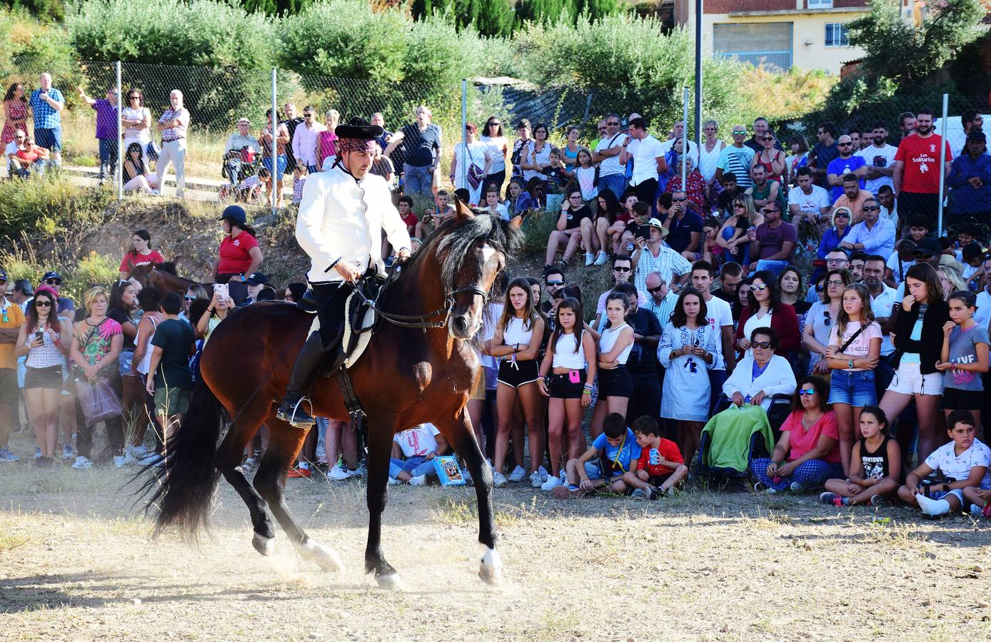 Las imágenes de la tradicional carrera ecuestre del Iregua