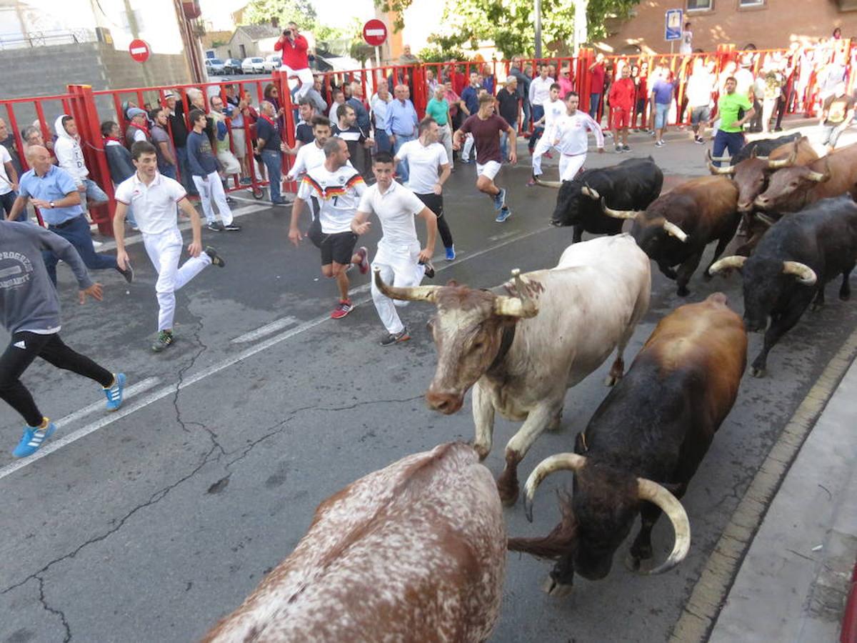 Un centenar de alfareñas participó en la comida y en los actos organizados para el día de la mujer de las fiestas