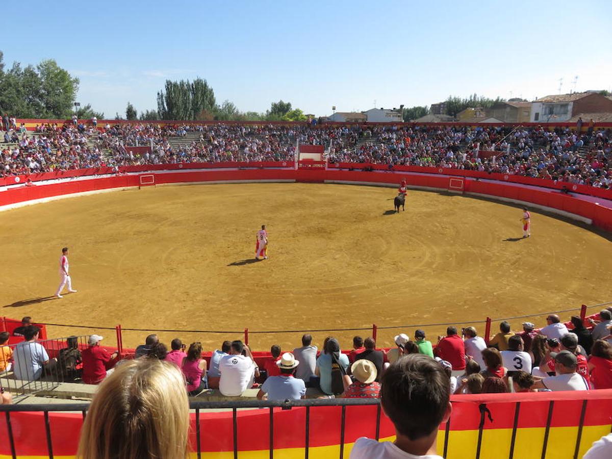 Unos 600 jóvenes compartieron la comida popular y fiesta pinchadiscos en el penúltimo día de fiestas de Alfaro